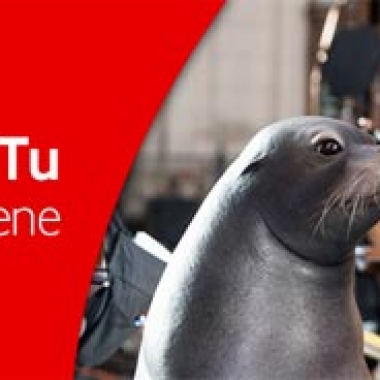 vodafone_scegli_tu